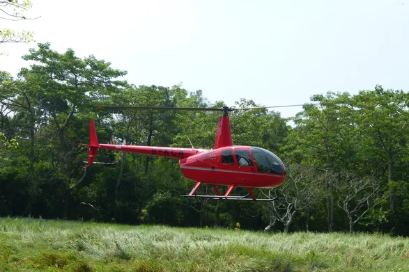 停在草地上 — R44停在长洲，2011年9月